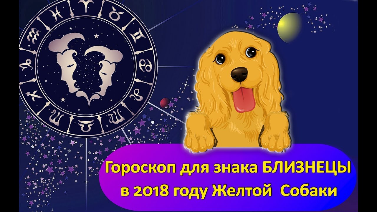 Год собаки в астрологии. Знаки зодиака собаки. Год жёлтой собаки 2018. Новый год жёлтая собака 2018 год стихи.