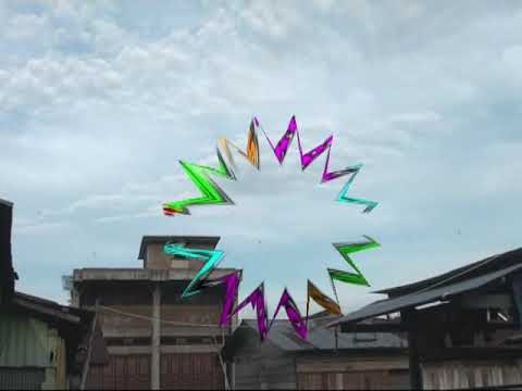Viral ~ Walet Albino Netas Sama Seriti. * PELANGI Walet * WA. 085255400678.