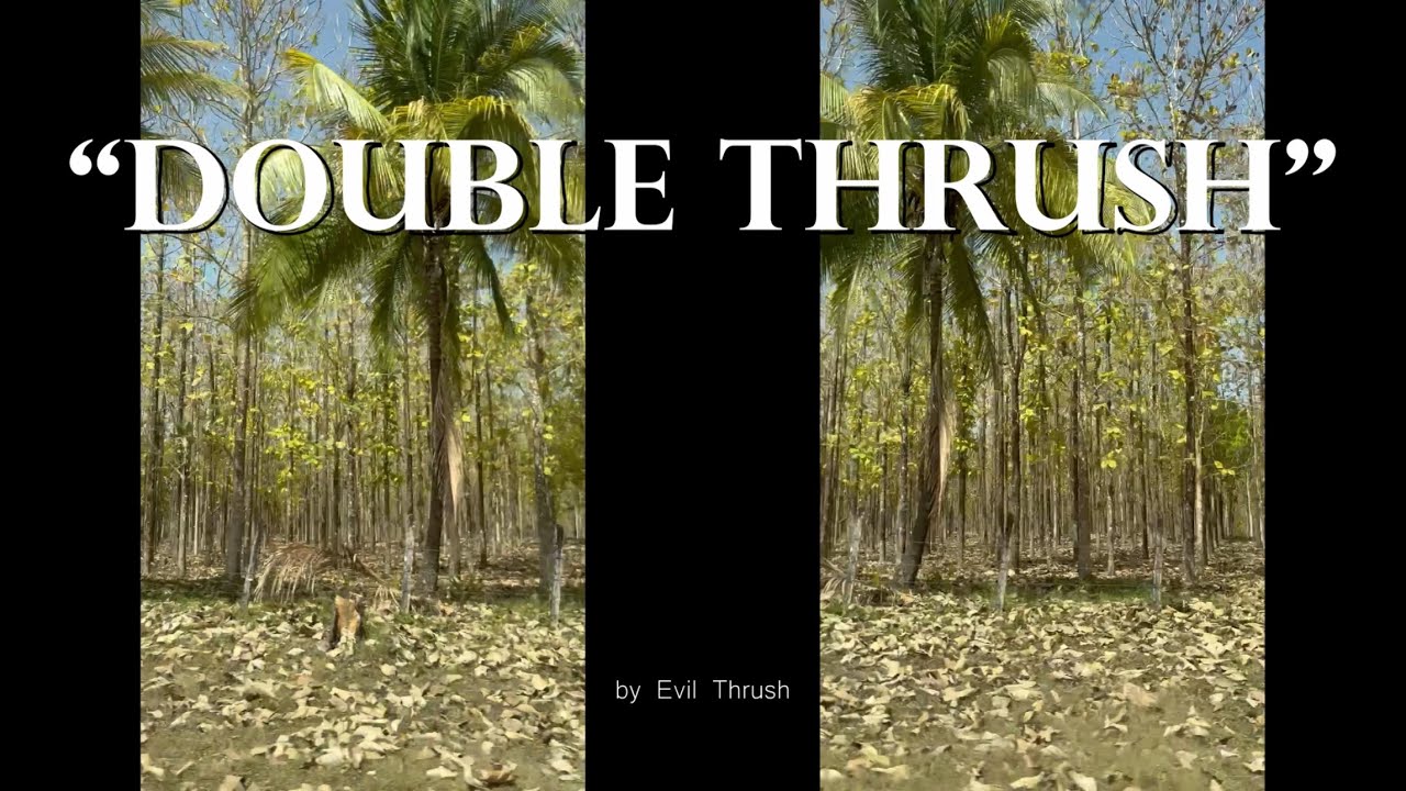Watch Double Thrush - Official Music Video on YouTube Watch Double Thrush - Official Music Video on YouTube