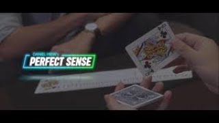 Perfect Sense by Skymember Presents Magic Review