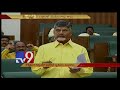 125 foot Ambedkar statue in 'Smruthi Vun' for Amaravati : CM Chandrababu