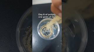 Day 6. Help me out pls :)
