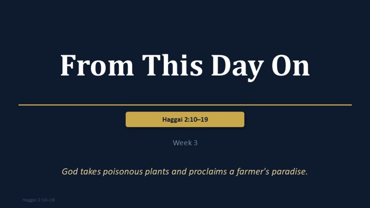 "From This Day On" (Haggai 2:10-19)