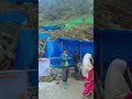 kedarnath #mahadevstatus 🥰🥰 #ytshorts #mahadev #trendingshorts #anjanimatamandirlivedarshansalasar