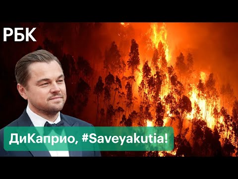 Леонардо ДиКаприо против пожаров в Якутии. Актер готов помочь, власти региона просят не вмешиваться