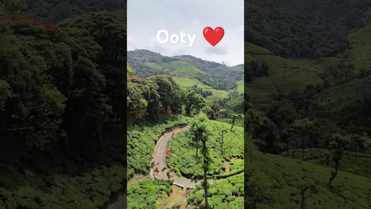 Ooty ❤️ 
