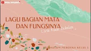Lagu Bagian Mata dan Fungsinya