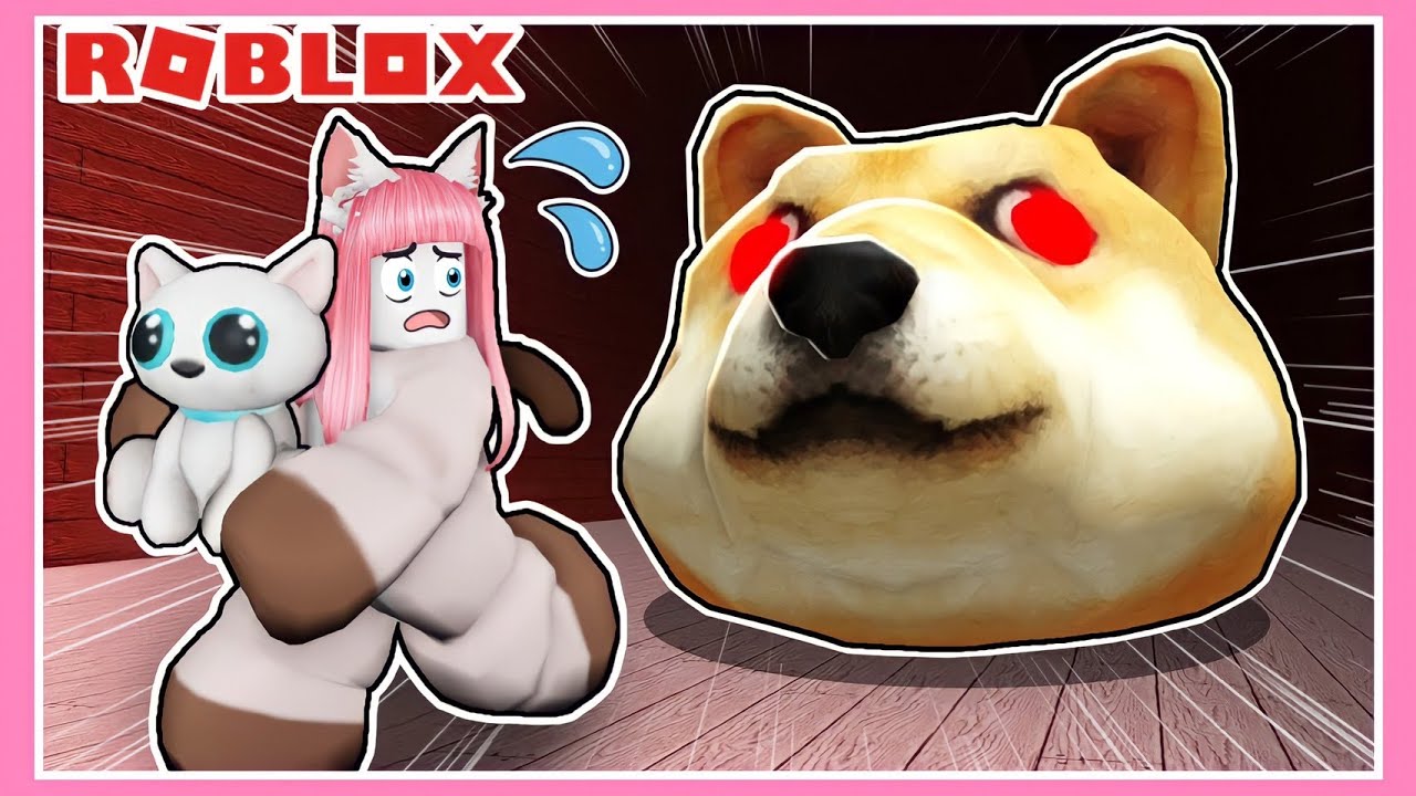 Gxjyfdwescvfzm Gxjyfdwescvfzm