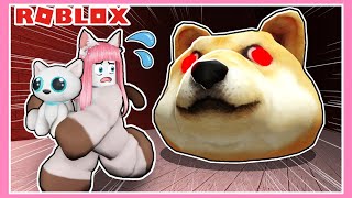 巨大な犬の顔が襲ってくる！?子猫を無事に救い出せ💨💦【ロブロックス / Roblox】【たまちゃん】