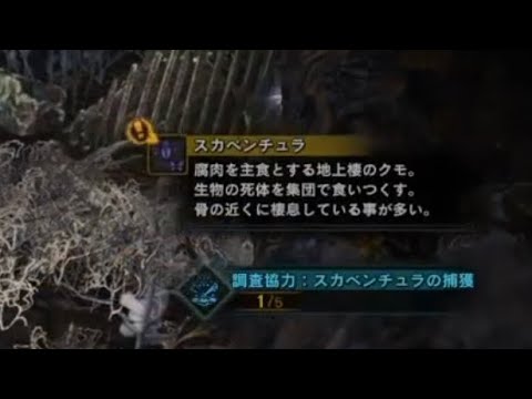 Mhw 重要バウンティ スカベンチュラの捕獲 マップ3のテトルーいる場所がオススメ モンハンワールド Monster Hunter World 101 Youtube