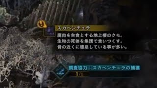 Mhw 重要バウンティ スカベンチュラの捕獲 マップ3のテトルーいる場所がオススメ モンハンワールド Monster Hunter World 101 Youtube
