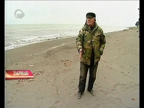 გურიისა და აჭარის მოსახლეობა ზღვის პირისპირ (პანორამა)