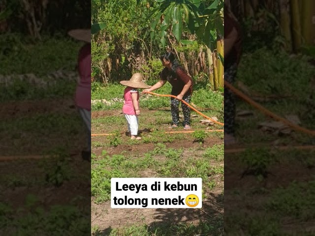 leeya di kebun tolong nenek class=