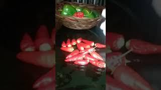 Stringing Chili Peppers
