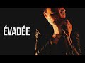 Kube  vade official