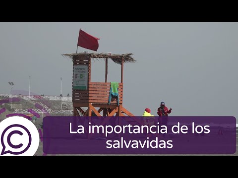 La valiosa labor de los salvavidas en la costa