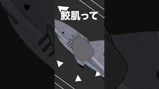 アマ・ラン(新モデルデザイン中)の最新動画