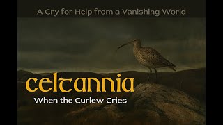 Download Lagu CELTANNIA - When the Curlew Cries (A Celtic Ballad – solemn, ethereal, and stirring) MP3