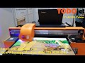 TODOjet 60*90cm Size Digital Flatbed UV Printer With Dual Epson TX800/XP600 Head