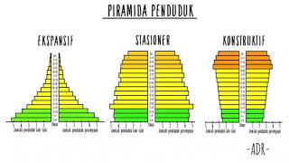 Materi Piramida Penduduk