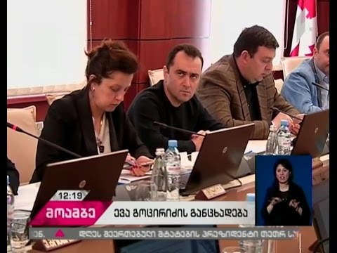 ევა გოცირიძე ჟურნალისტურ ეთიკის ქარტიას, ჟურნალისტთა კორპუსსა და ომბუდსმენს წერილით მიმართავს
