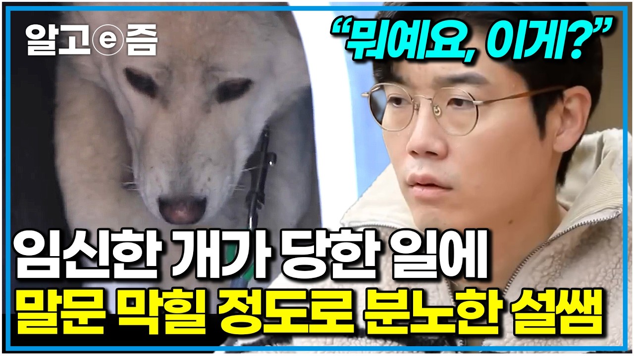오토바이에 끌려가던 개, 드디어 설쌤과 만났다! 영상 보고 말문이 막힐 정도로 충격받은 설쌤｜세상에 나쁜 개는 없다｜알고e즘
