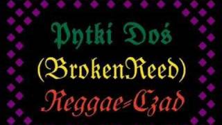 Video thumbnail of "Pytki Doś: Reggae-Czad"