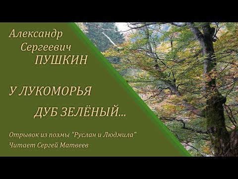 У лукоморья дуб зелёный... Александр Сергеевич Пушкин. Отрывок из поэмы "Руслан и Людмила"