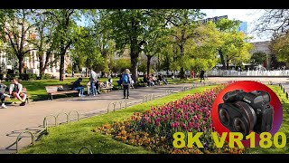 Relaxing In The Sofia City Gardens In Spring Bulgaria 8K 4K Vr180 3D Travel