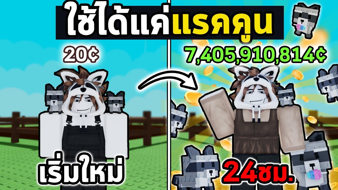 ใช้แต่แรคคูน 24ชม. ห้ามปลูก ห้ามเติม ห้ามเทรด! |  Grow a Garden Roblox