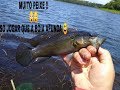 Pescaria na Represa: Muito peixe na varinha