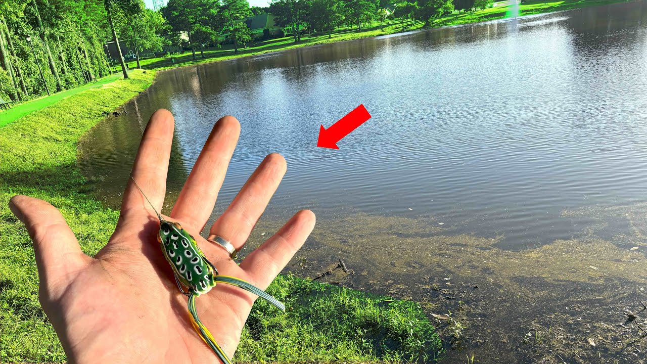 Topwater Only Day of Bass Fishing!! (Frog and Choppo!!)