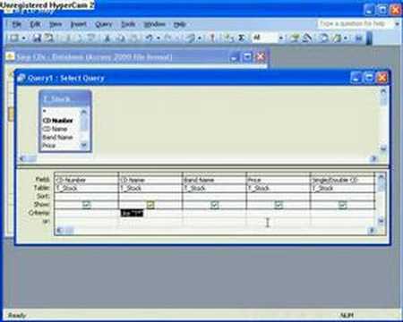2.4 Using Wildcard * in Access Queries