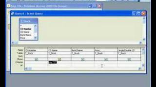 2.4 Using Wildcard * in Access Queries
