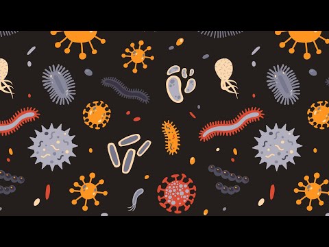 COVID-19 Ковид и противовирусные препараты. Ремдесевир.