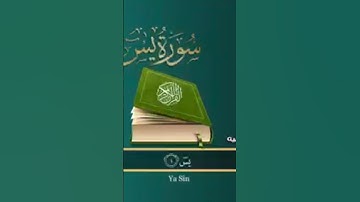 سوره يس بصوت الشيخ القارئ محمد الفقيه #شارك_تؤجر #قران_كريم #كلام_رب_العالمين #العالم#اسلاميات