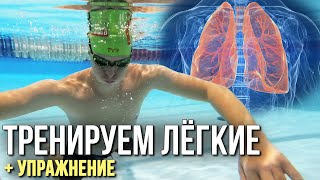 Как увеличить объём лёгких? Как задерживать дыхание надолго? Как увеличить объём лёгких? Как задерживать дыхание надолго?