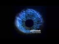 Pilli Bebek Discography Discogs