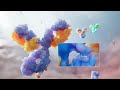 Differentiated Characteristics in Molecular Structure and MOA of Serplulimab