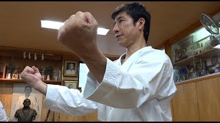 中国武術に繋がる剛柔流、剣術と柔術が合体した和道流、空手って凄い！