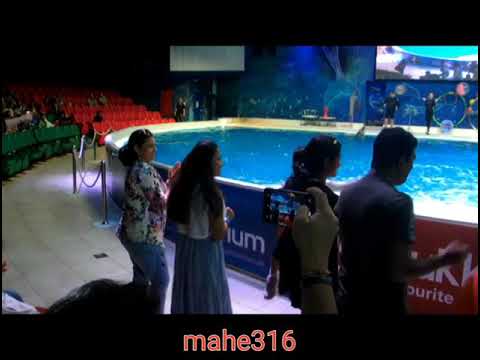 Shampa dancing with the Dolphin at the Dubai Dolphinarium