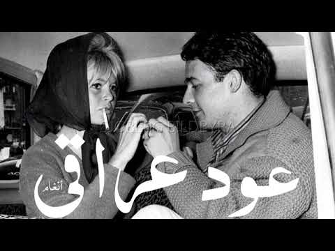 عبود عبود عود عراقي لاتذب الصوج بيةولا تقول نتة السبب هن