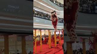 Barongsai Show di Lippo Mall Puri