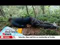 IMPACT NEWS 12 NOON |11 JUN 2026