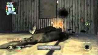 Wtf Commando Dog!