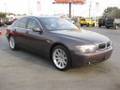 2003 BMW 745i Start Up, Engine, In Depth Tour, and Features Overview