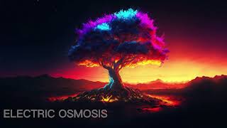 Ashii Box & Wels - No Time