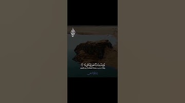 ((إنًّ هؤلاء يحبون العاجلة ويذرون ورائهم يوماً ثقيلا))للقارئ اسلام صبحي 🌹