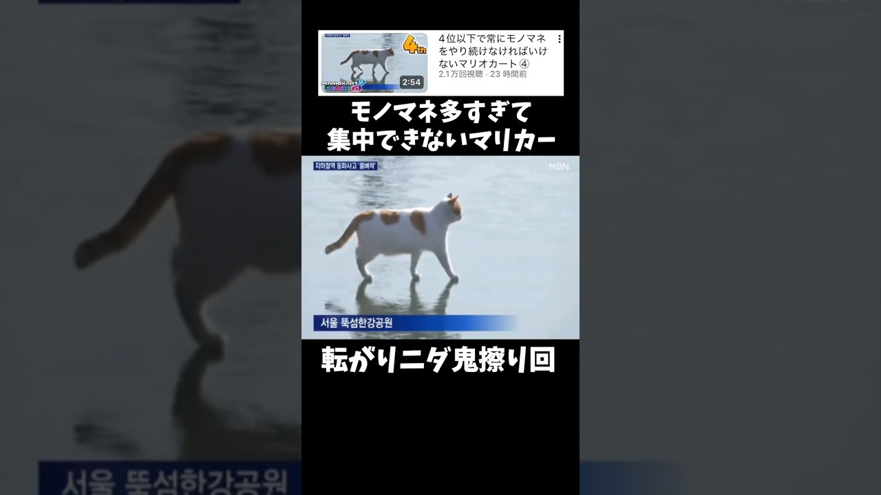 細かすぎて伝わらないネタw 元動画↑#shorts #きじむなーの実況 #マリオカート8dx #モノマネ　#切り抜き #ゲーム実況