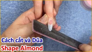 Cách cắt móng almond - Dũa shape almond chuẩn | Phong Tran Art